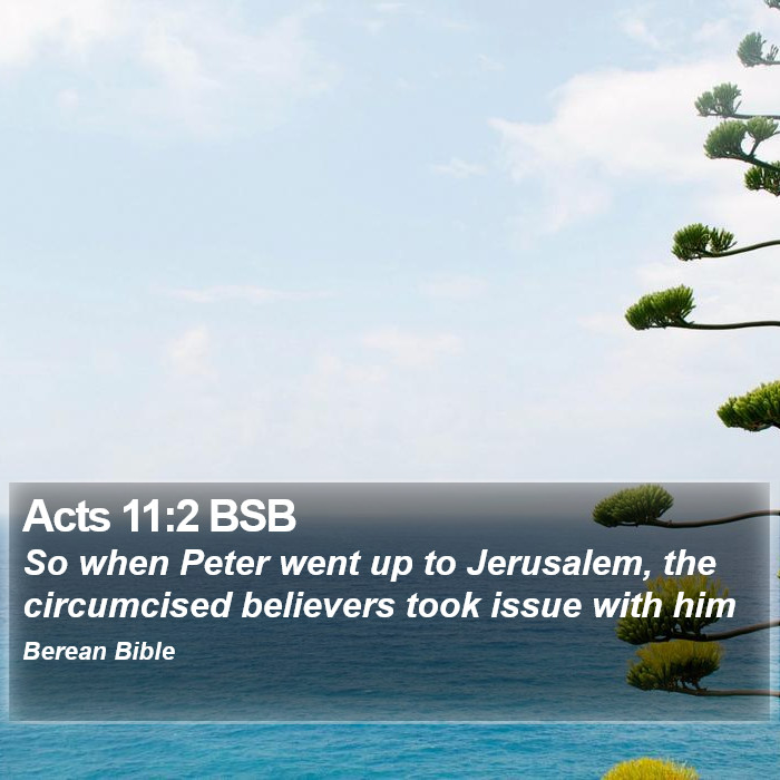 Acts 11:2 BSB Bible Study