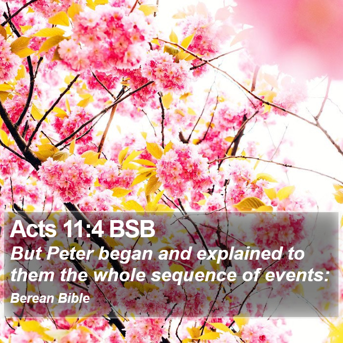 Acts 11:4 BSB Bible Study