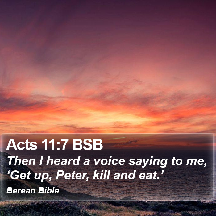 Acts 11:7 BSB Bible Study