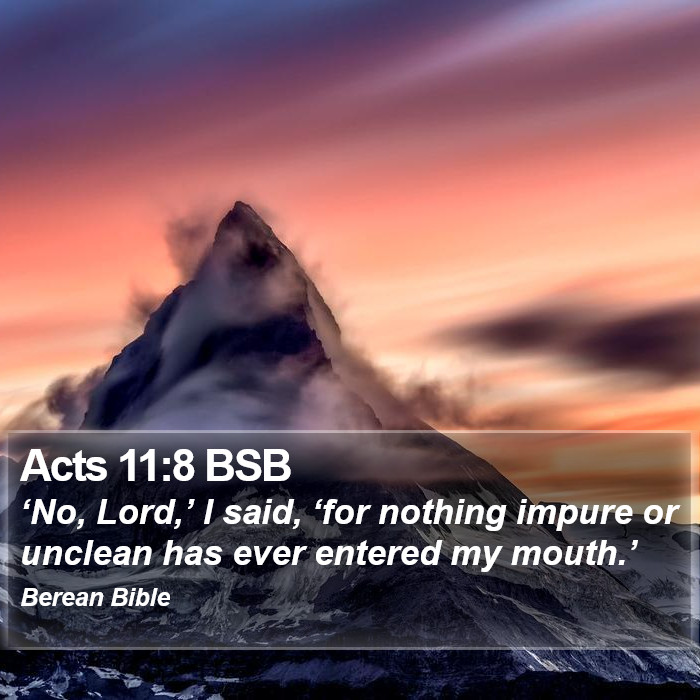 Acts 11:8 BSB Bible Study