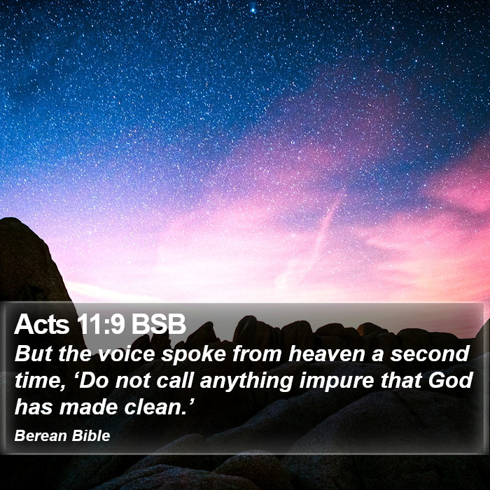 Acts 11:9 BSB Bible Study