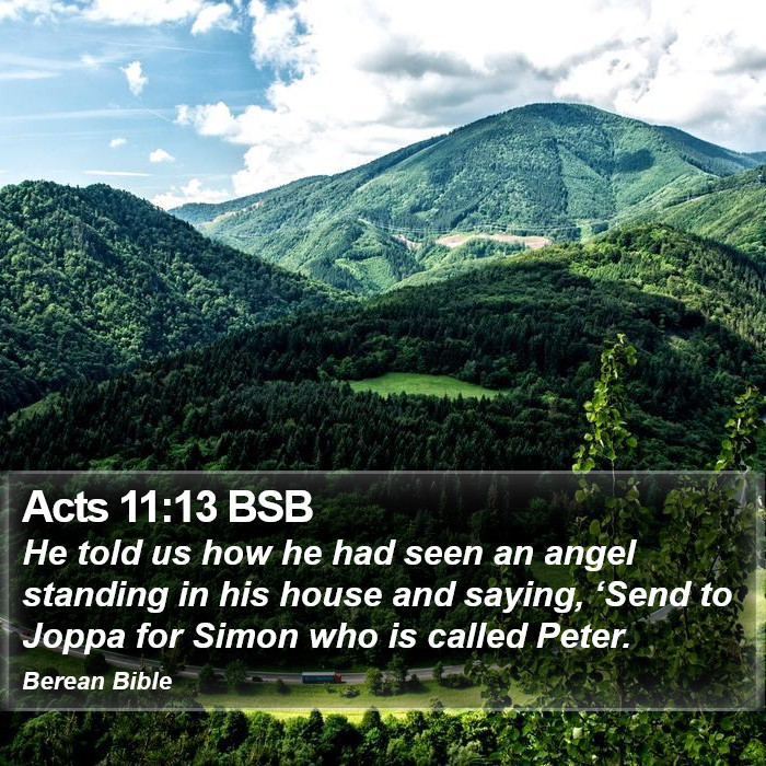 Acts 11:13 BSB Bible Study