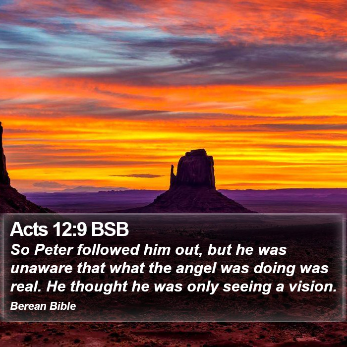 Acts 12:9 BSB Bible Study