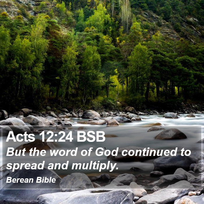 Acts 12:24 BSB Bible Study