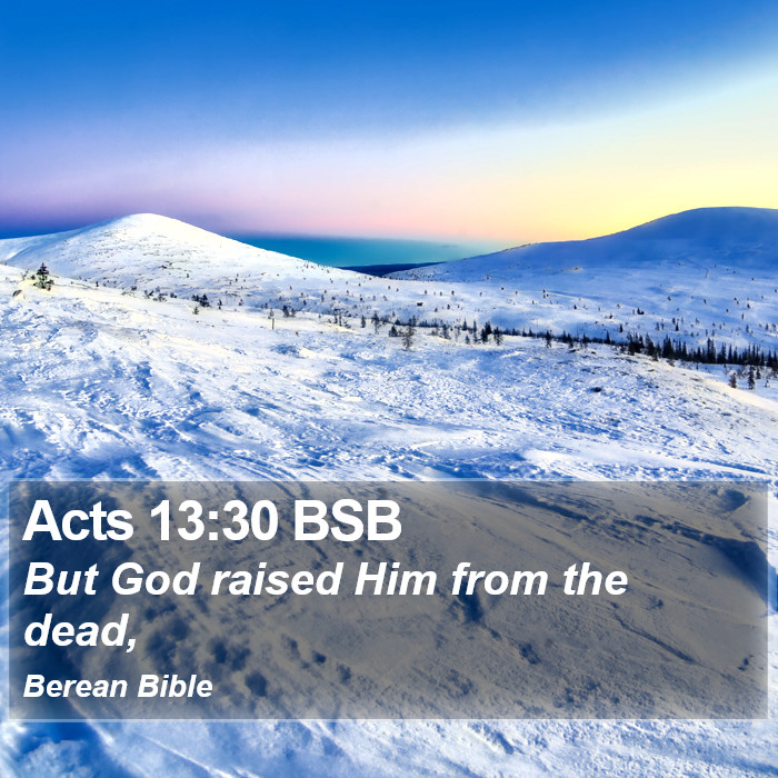 Acts 13:30 BSB Bible Study