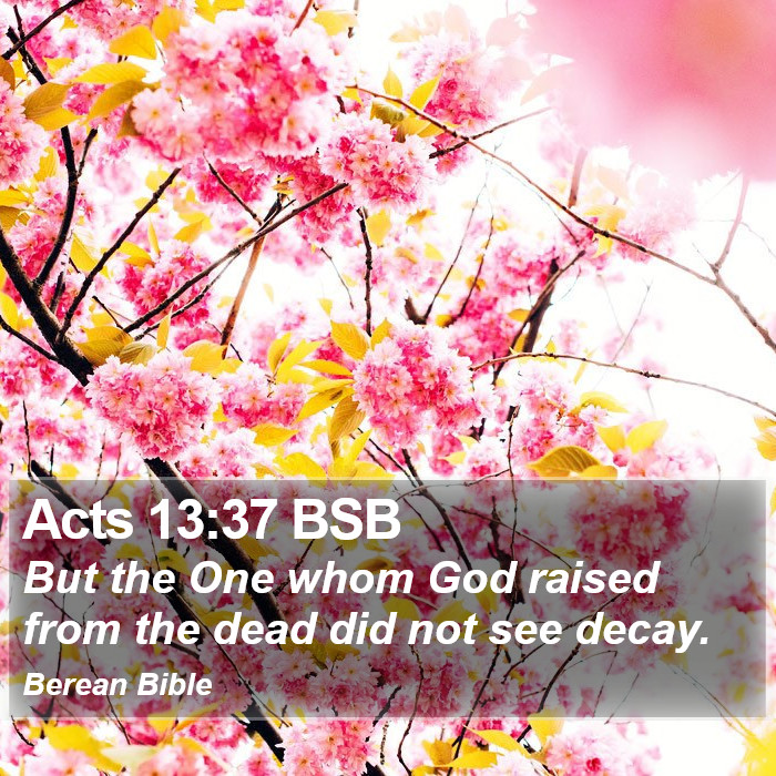 Acts 13:37 BSB Bible Study