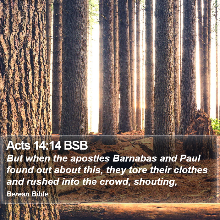 Acts 14:14 BSB Bible Study