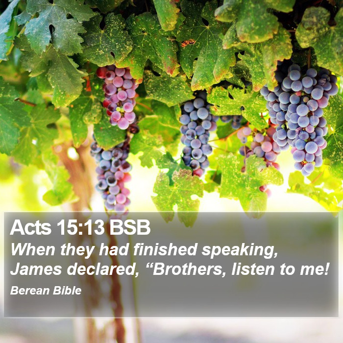 Acts 15:13 BSB Bible Study