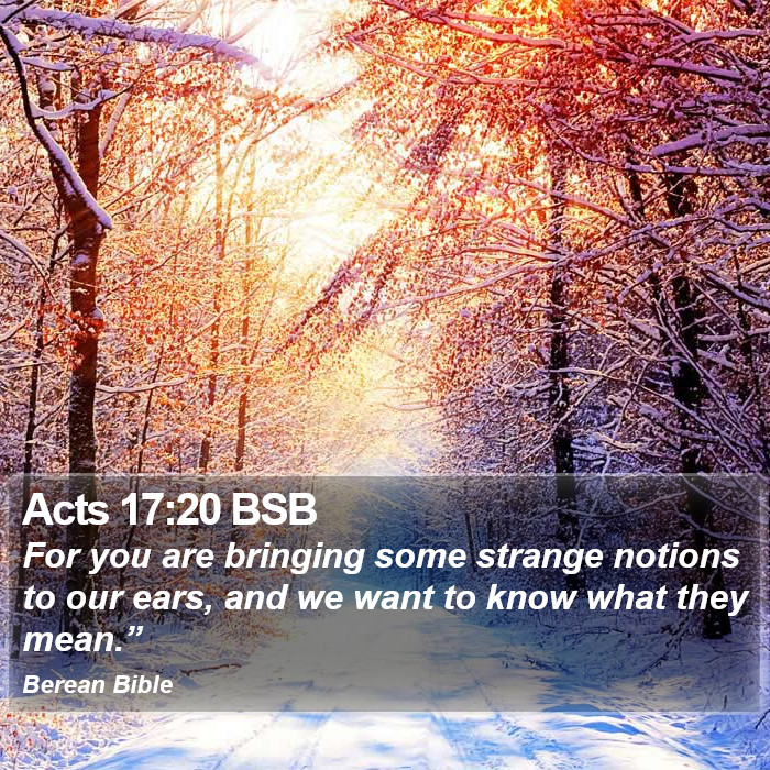 Acts 17:20 BSB Bible Study