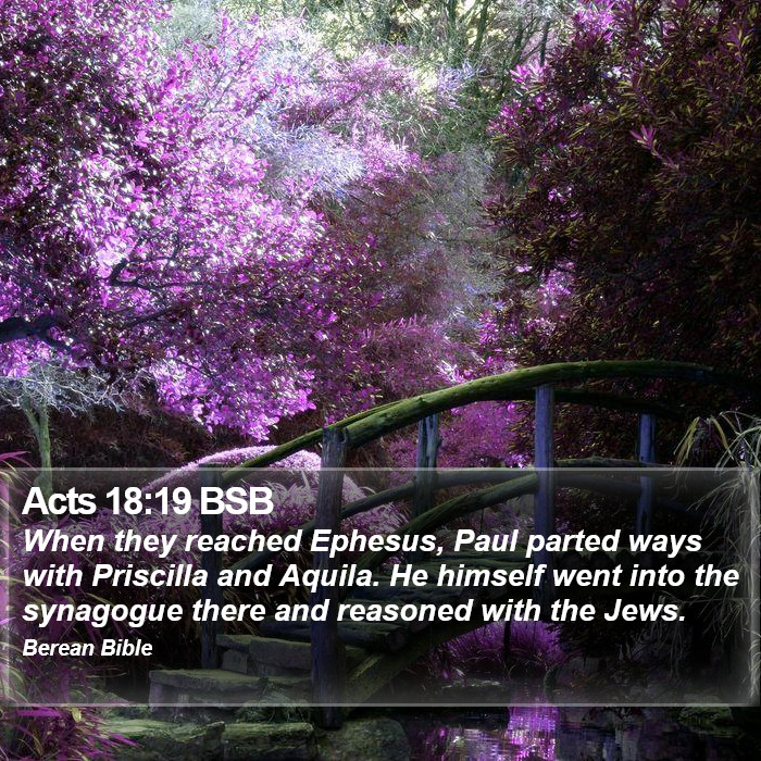 Acts 18:19 BSB Bible Study