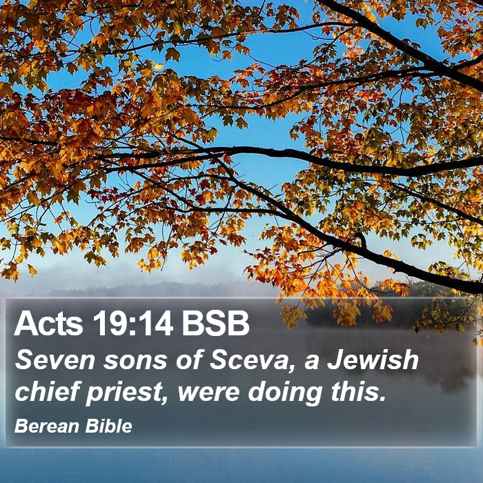 Acts 19:14 BSB Bible Study