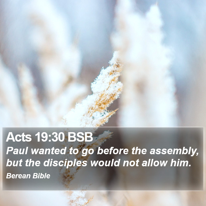 Acts 19:30 BSB Bible Study