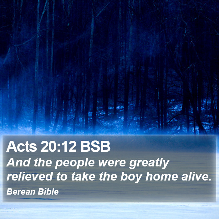 Acts 20:12 BSB Bible Study