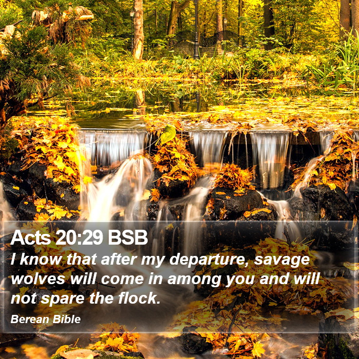 Acts 20:29 BSB Bible Study