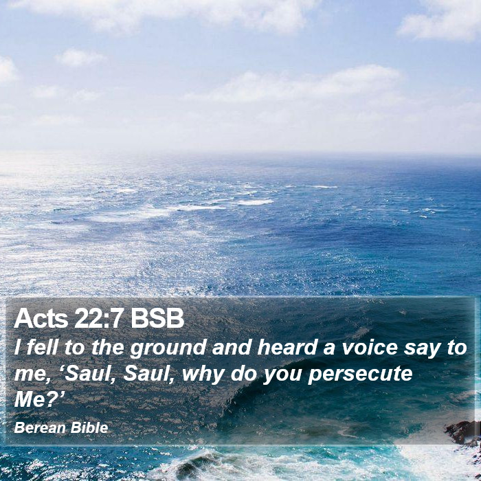 Acts 22:7 BSB Bible Study