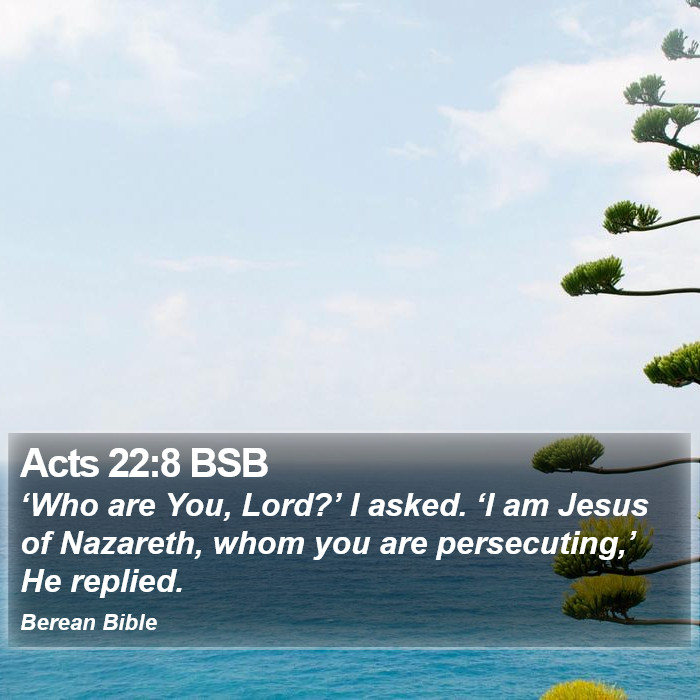 Acts 22:8 BSB Bible Study