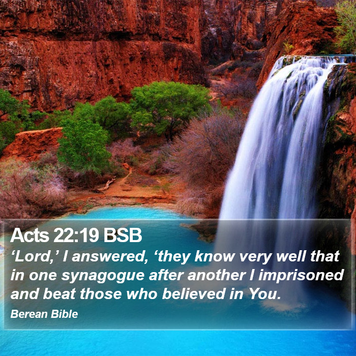 Acts 22:19 BSB Bible Study