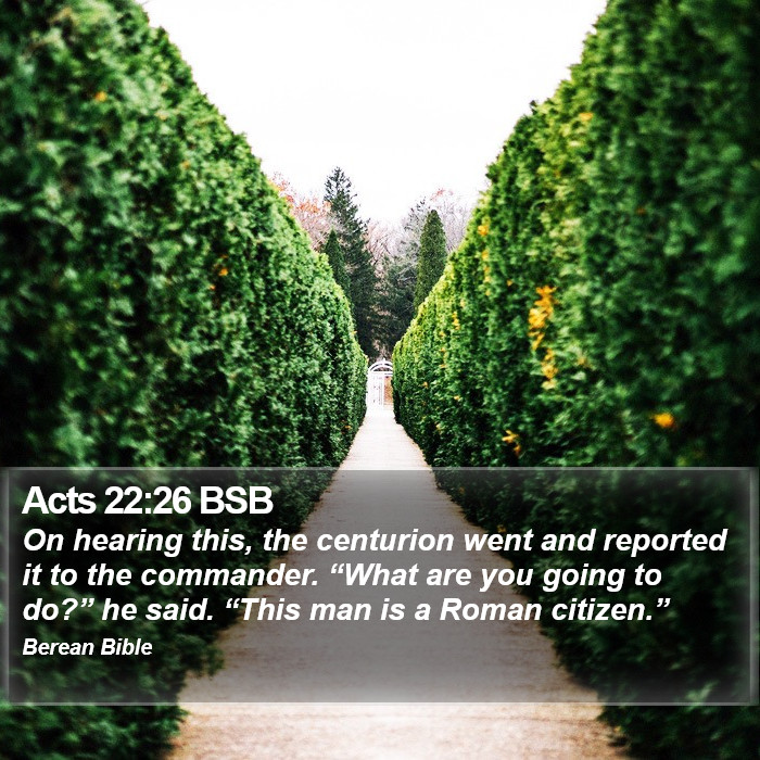 Acts 22:26 BSB Bible Study