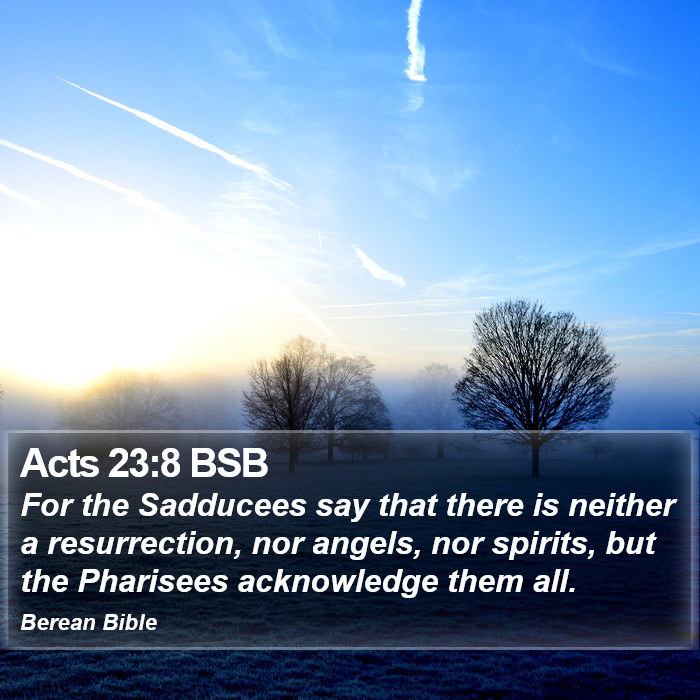 Acts 23:8 BSB Bible Study