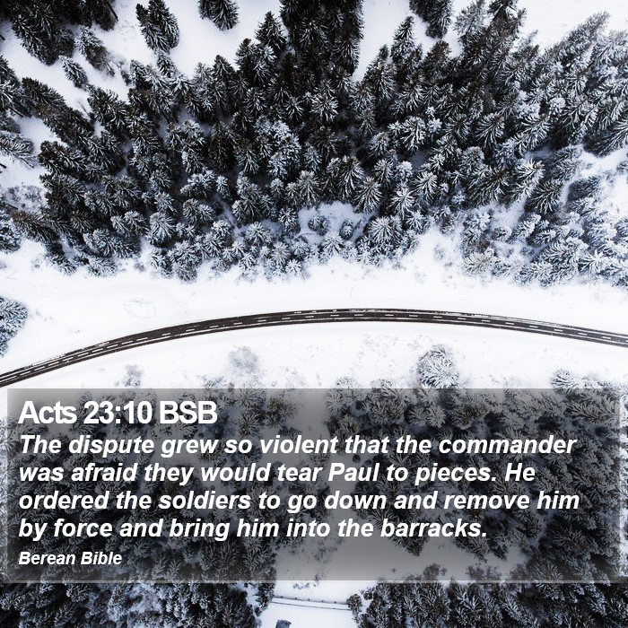 Acts 23:10 BSB Bible Study