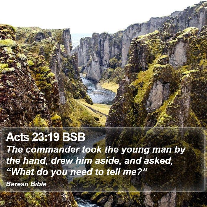 Acts 23:19 BSB Bible Study