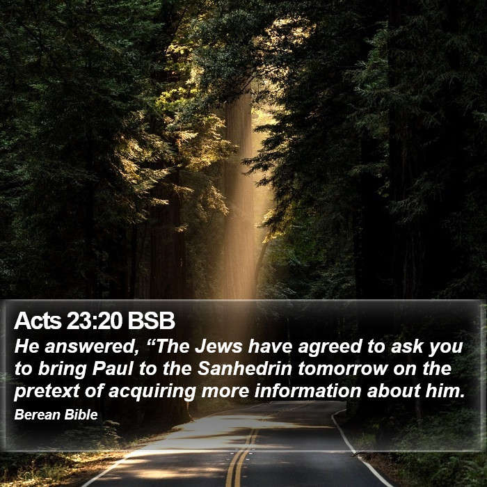 Acts 23:20 BSB Bible Study