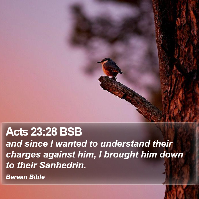 Acts 23:28 BSB Bible Study