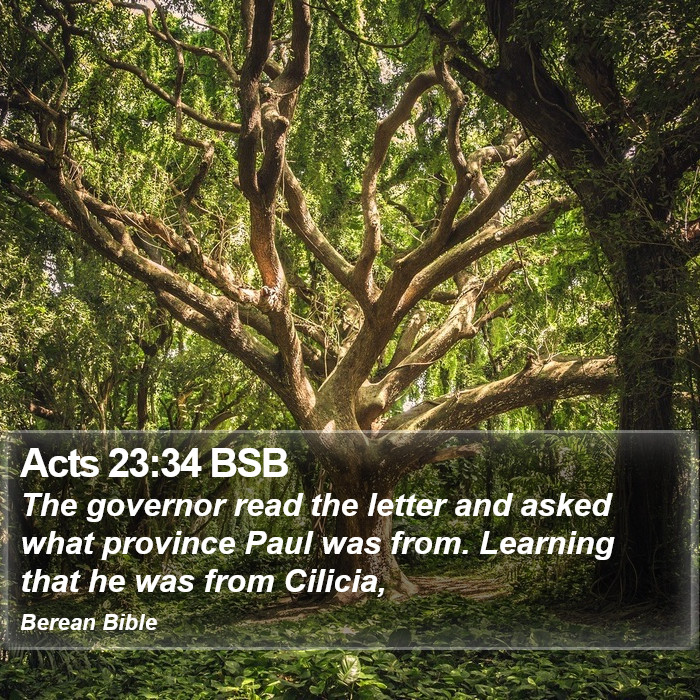 Acts 23:34 BSB Bible Study