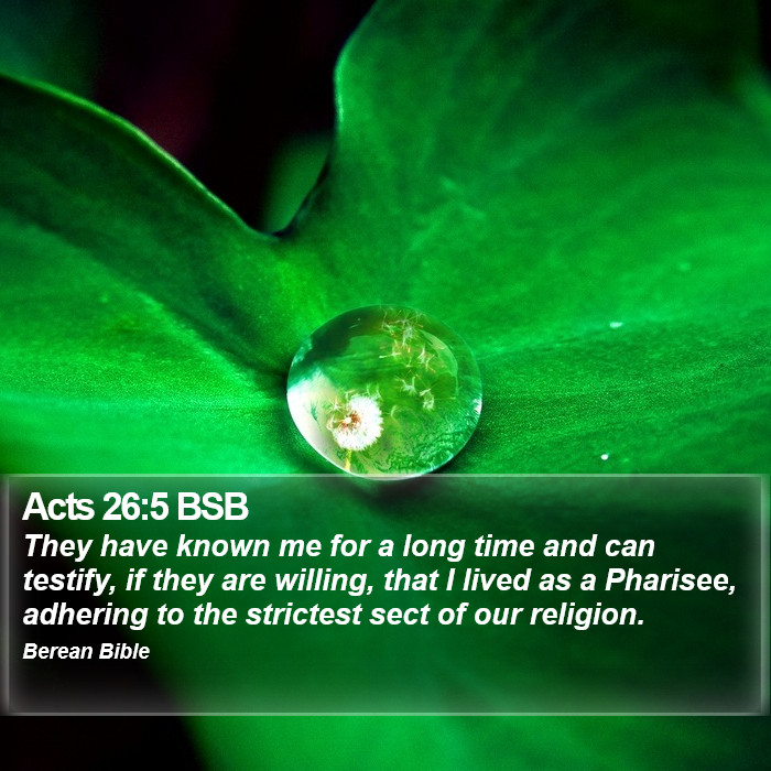 Acts 26:5 BSB Bible Study