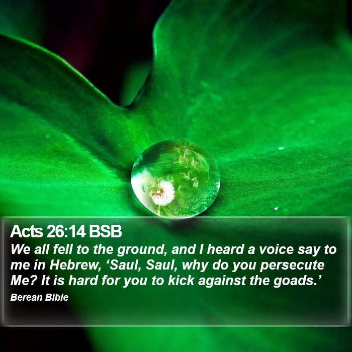 Acts 26:14 BSB Bible Study