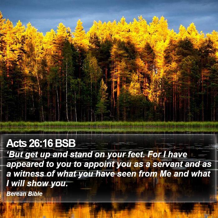 Acts 26:16 BSB Bible Study