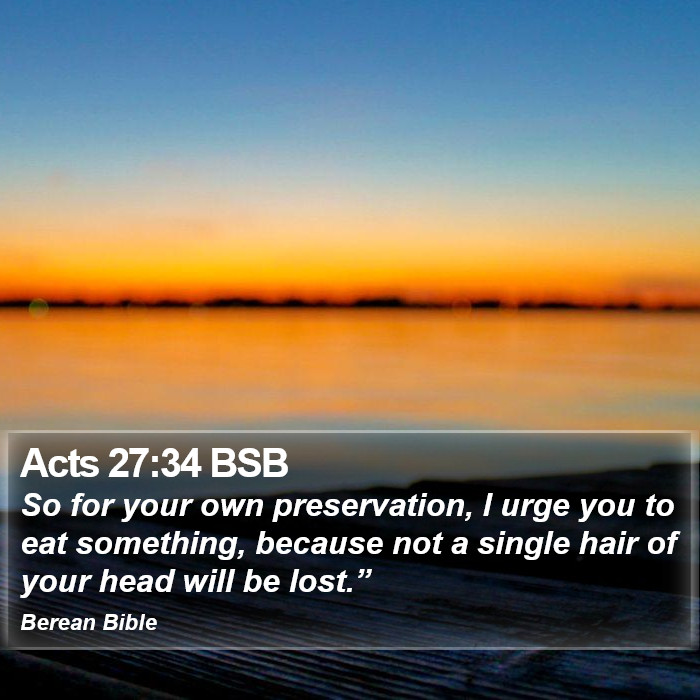 Acts 27:34 BSB Bible Study