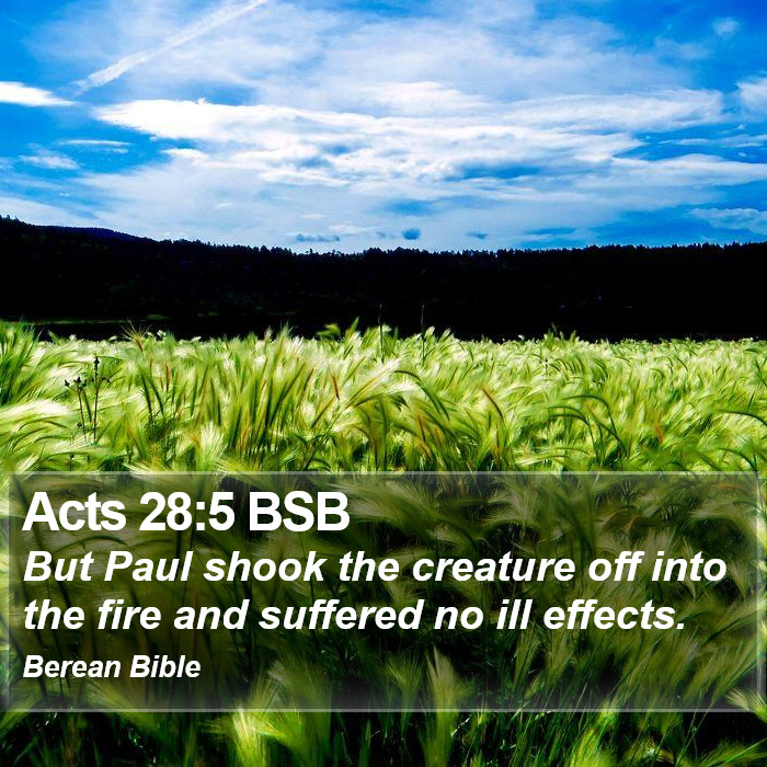 Acts 28:5 BSB Bible Study