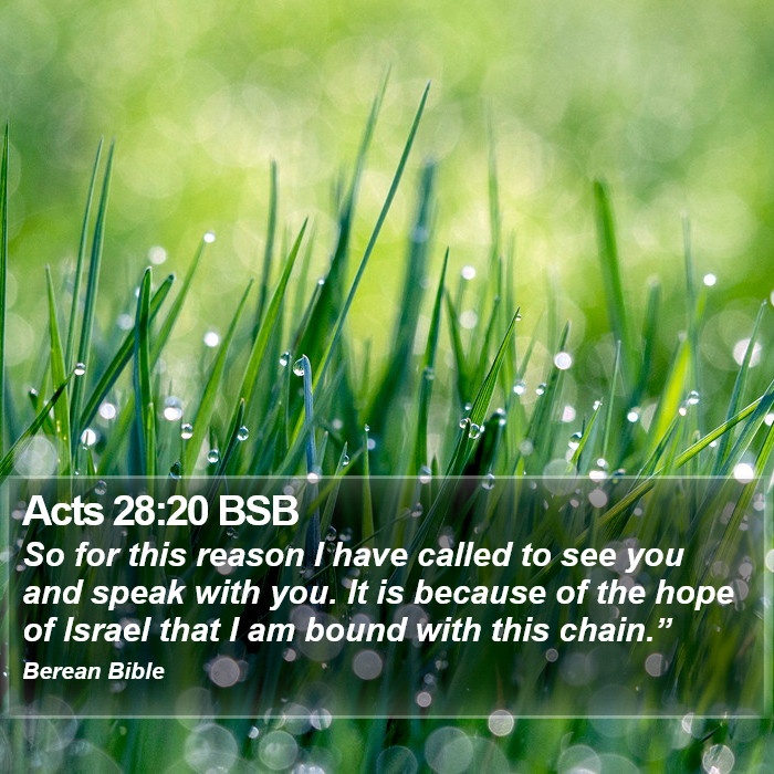 Acts 28:20 BSB Bible Study