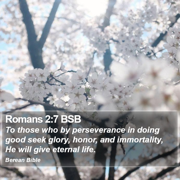 Romans 2:7 BSB Bible Study