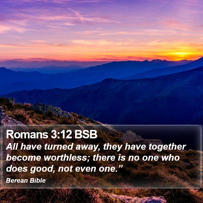 Romans 3:12 BSB Bible Study