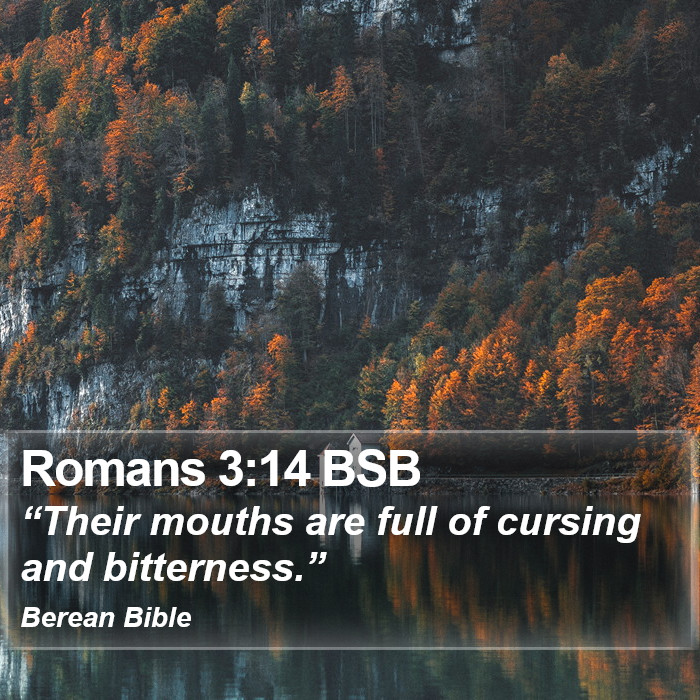 Romans 3:14 BSB Bible Study