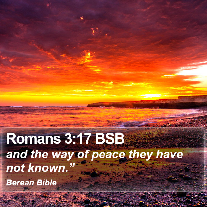 Romans 3:17 BSB Bible Study