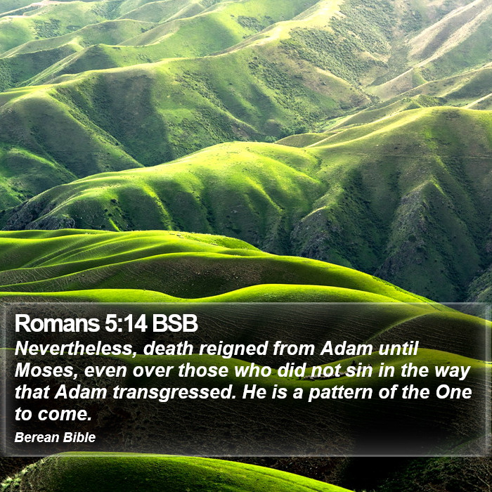 Romans 5:14 BSB Bible Study