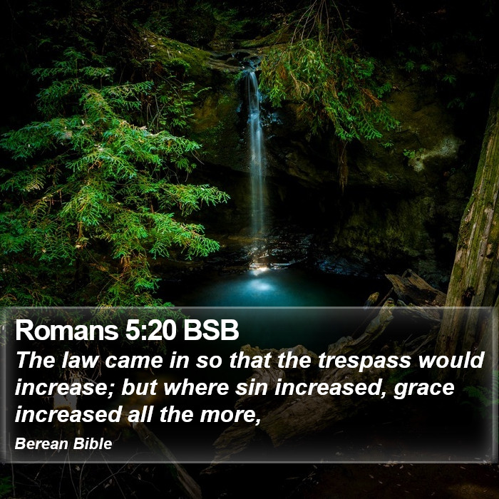 Romans 5:20 BSB Bible Study