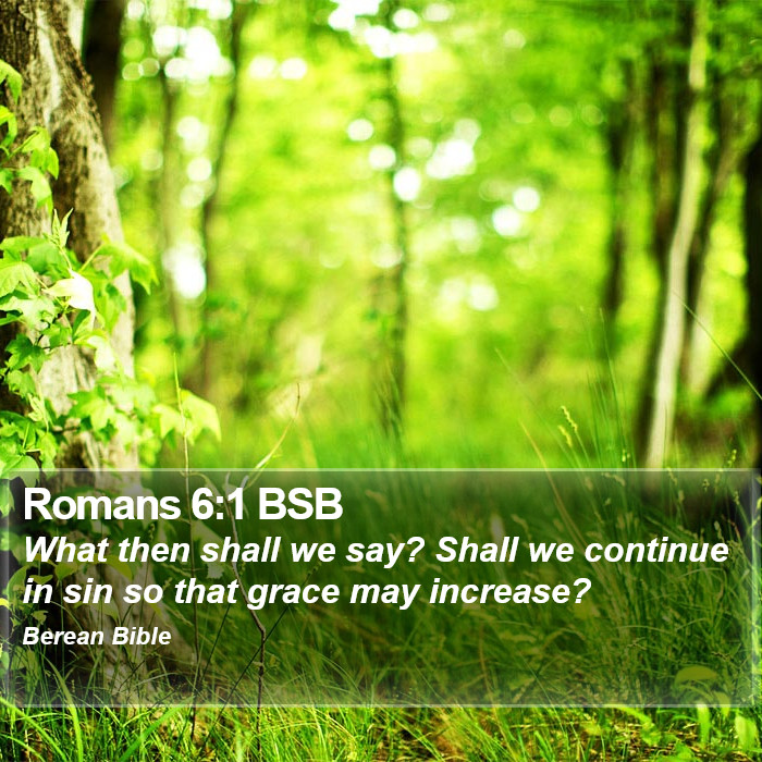 Romans 6:1 BSB Bible Study