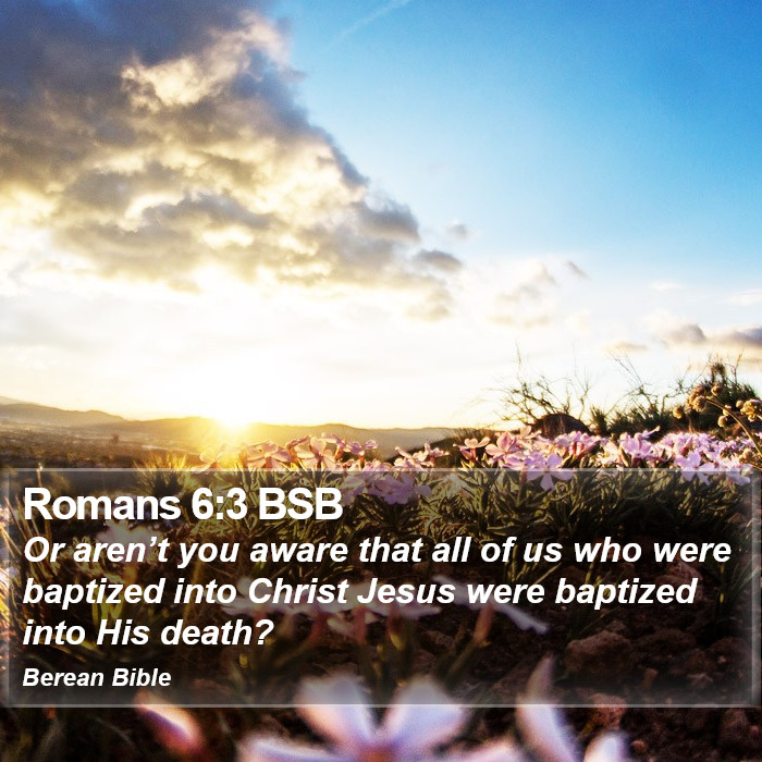 Romans 6:3 BSB Bible Study