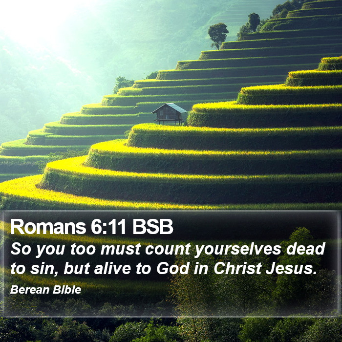 Romans 6:11 BSB Bible Study