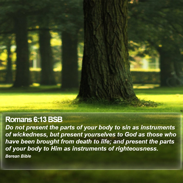 Romans 6:13 BSB Bible Study