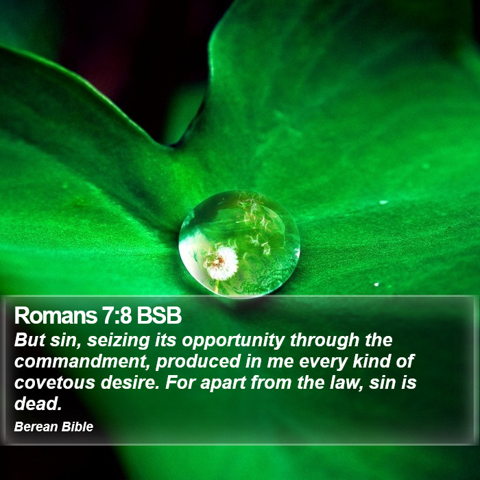 Romans 7:8 BSB Bible Study