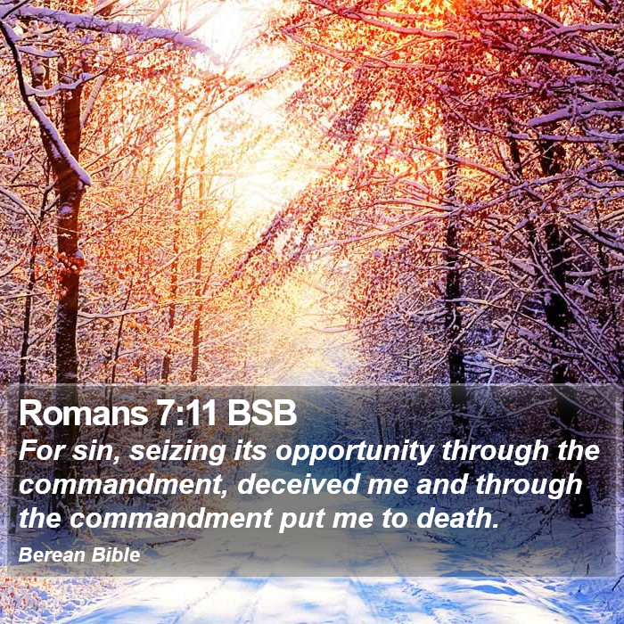 Romans 7:11 BSB Bible Study