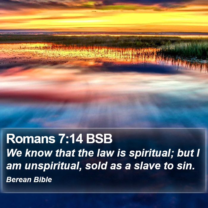 Romans 7:14 BSB Bible Study