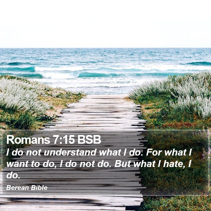 Romans 7:15 BSB Bible Study