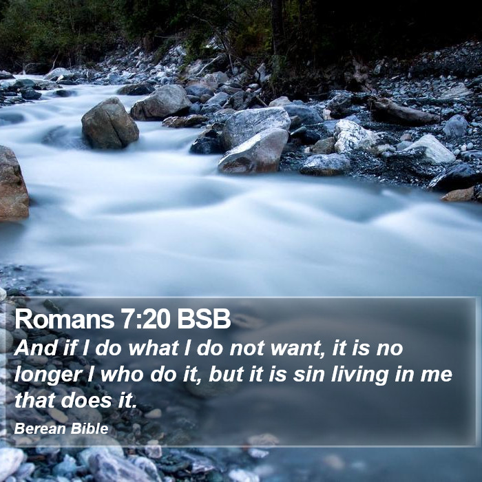 Romans 7:20 BSB Bible Study