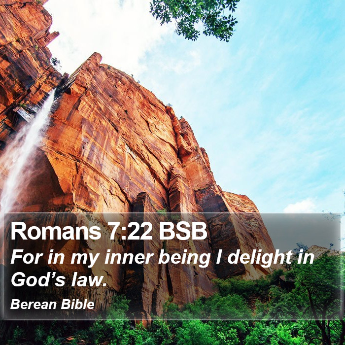 Romans 7:22 BSB Bible Study